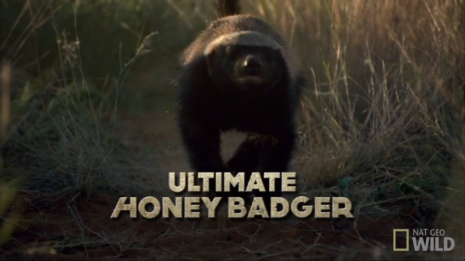 NatGeo Wild - Ultimate Honey Badger